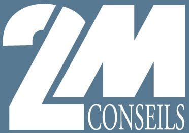 Logo 2LM Conseil fond bleu